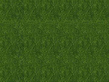 Turf texture (ID:ffagg26647)