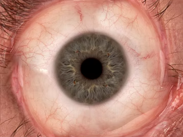 Eyes texture (ID:ffabf0257)