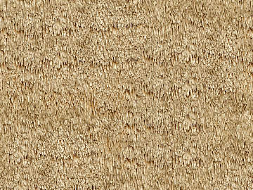 Thatch texture (ID:ffajg06991)