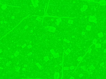 Bright green terrazzo floor finish texture (ID:ffaeh767656)