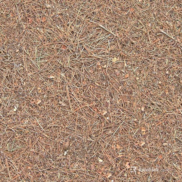 Turf ground texture