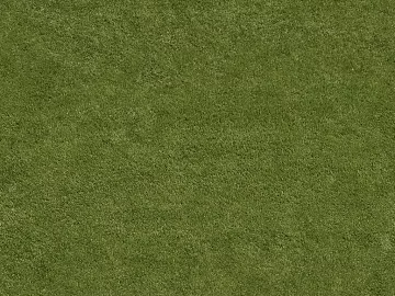 Grassland texture (ID:ffacg01357)