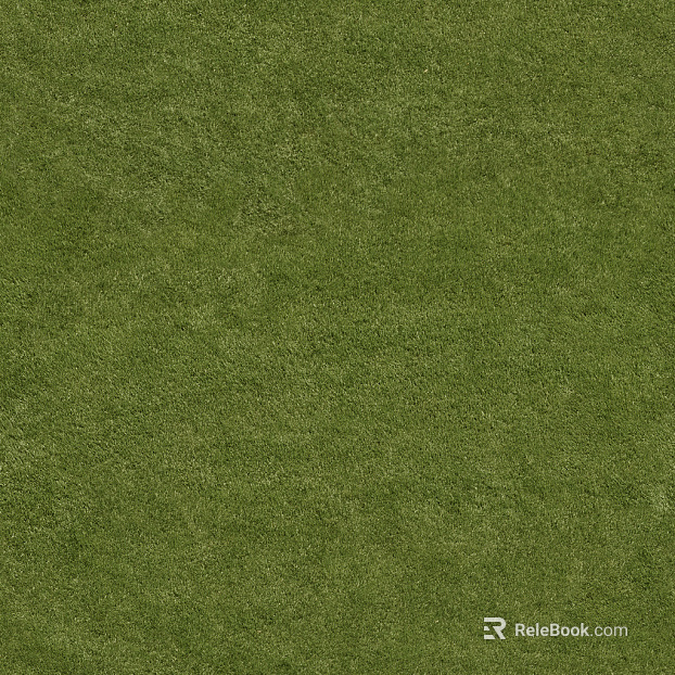 Grassland texture