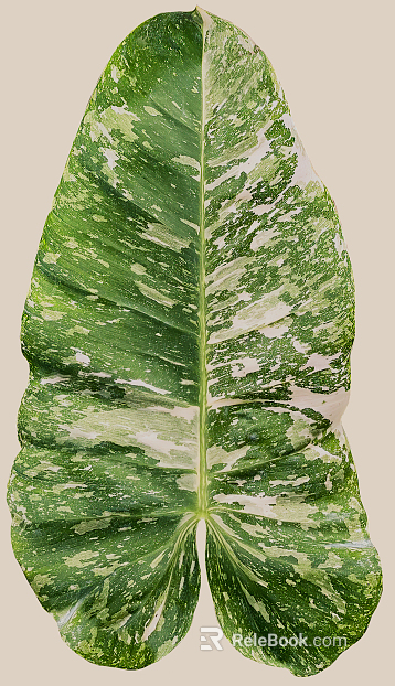 leaves texture