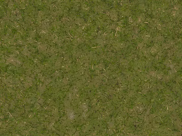 Turf texture (ID:ffajg62259)