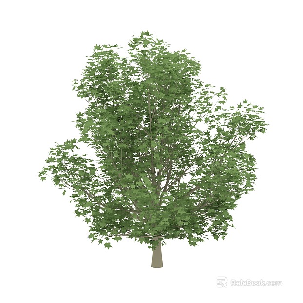 Tree texture