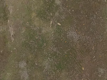 Mud texture (ID:ffacg19483)