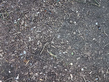 Gravel texture (ID:ffaeg16193)