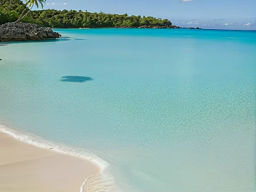 Wild Scenery texture (ID:ffach604623)