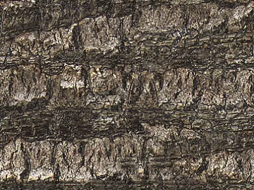 bark texture (ID:ffach342381)