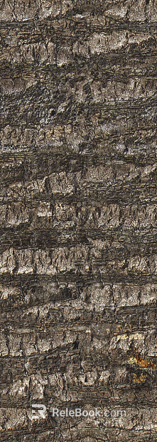 bark texture