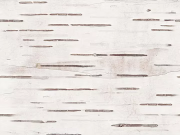 Mud texture (ID:ffaeg07478)