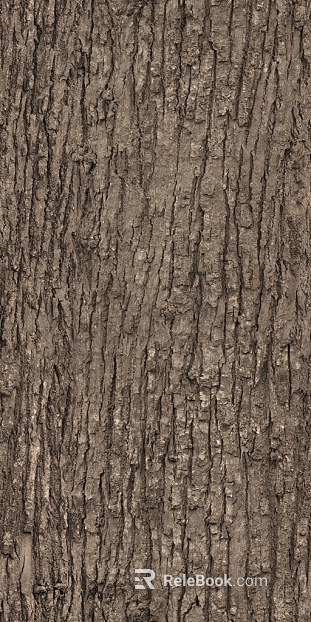 Tree trunk texture texture