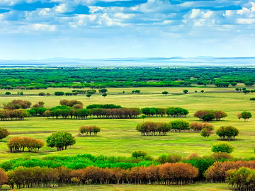 Curus Station texture (ID:ffach561803)