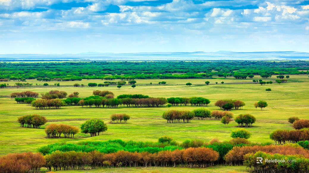 Curus Station texture