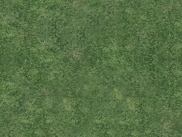 Turf texture (ID:ffaeg78997)
