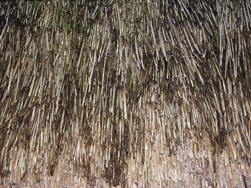 Thatch texture (ID:ffacg49324)
