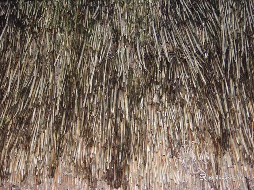Thatch texture