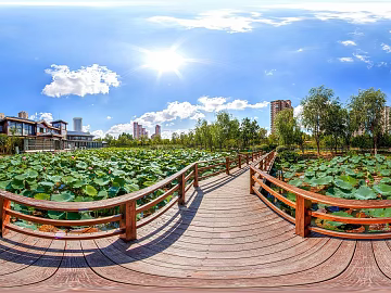 Park Lotus Pond Daytime HDR texture (ID:ffach019746)