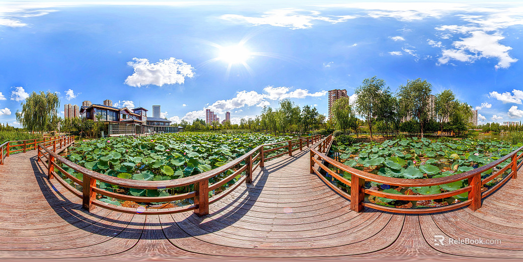 Park Lotus Pond Daytime HDR texture