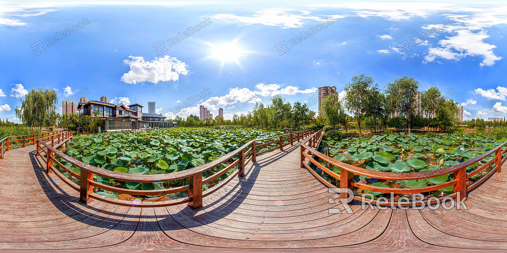 HDR Green Trailway Forest Leisure Riverside texture