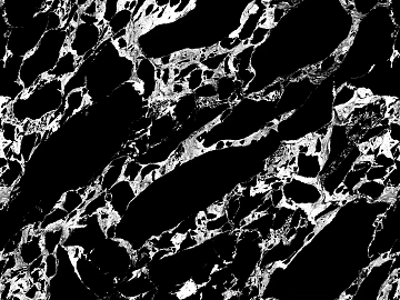 Black Marble texture (ID:ffach406315)