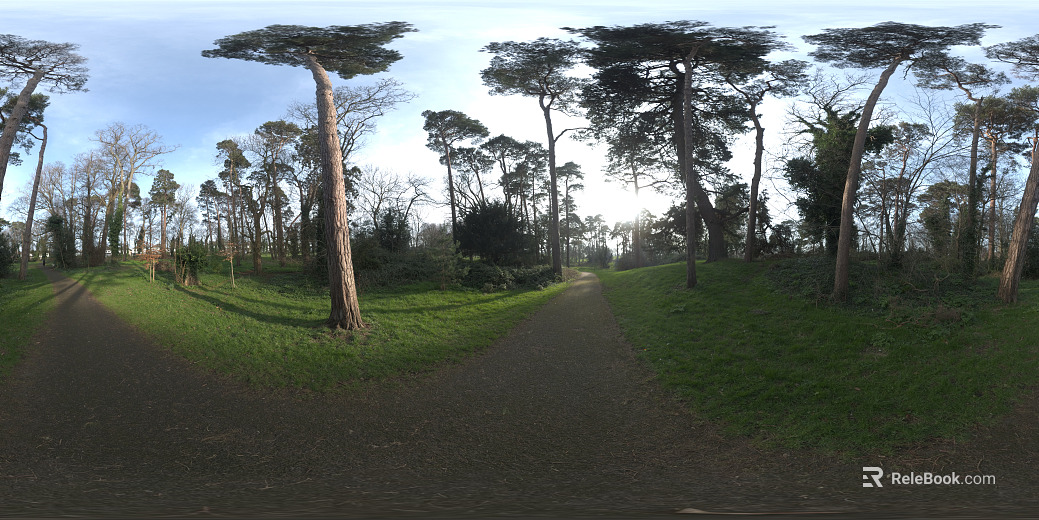 Outdoor Park Spring Summer Sunny Day HDR texture