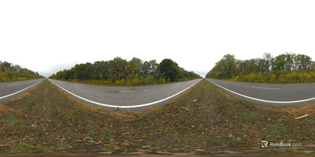 Outdoor Road Woods Clouded Day HDR texture