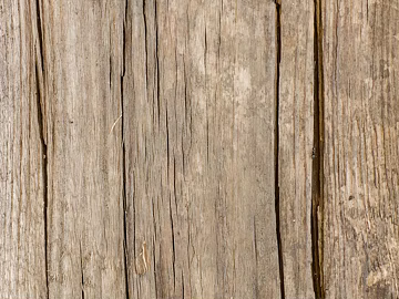 old wood texture (ID:ffaeh286727)