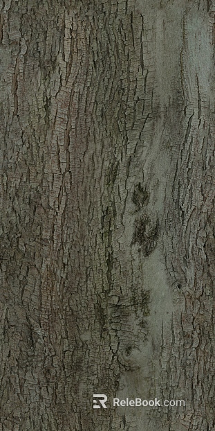 bark texture