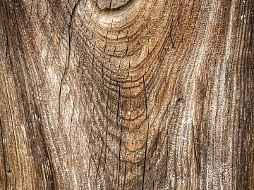 old wood texture (ID:ffach241561)