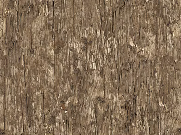bark 3d model