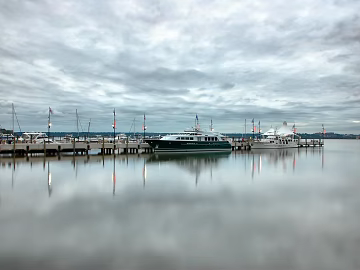 Wild Scenery texture (ID:ffach155706)