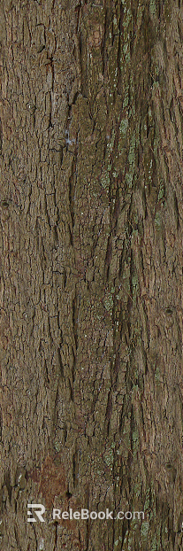 bark texture