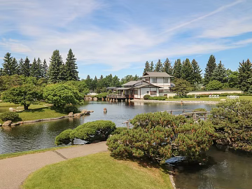 Wild Scenery texture (ID:ffaaf5231)