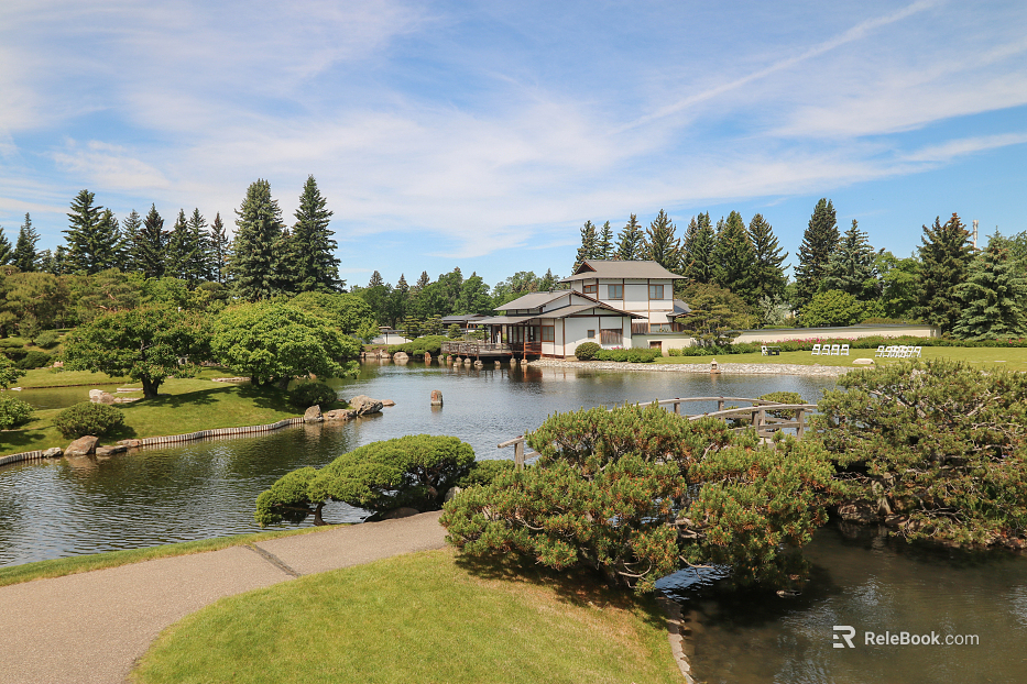 Wild Scenery texture