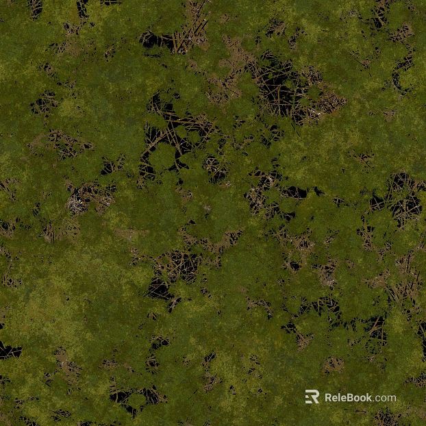 Green moss outdoor ground texture