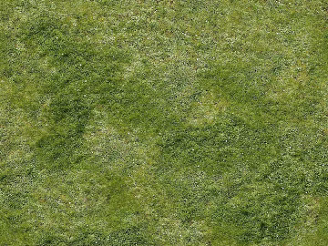 Turf texture (ID:ffach448756)