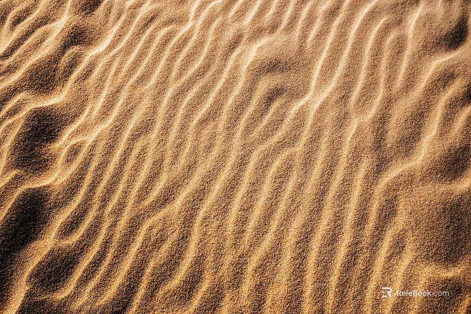 Sandy land texture