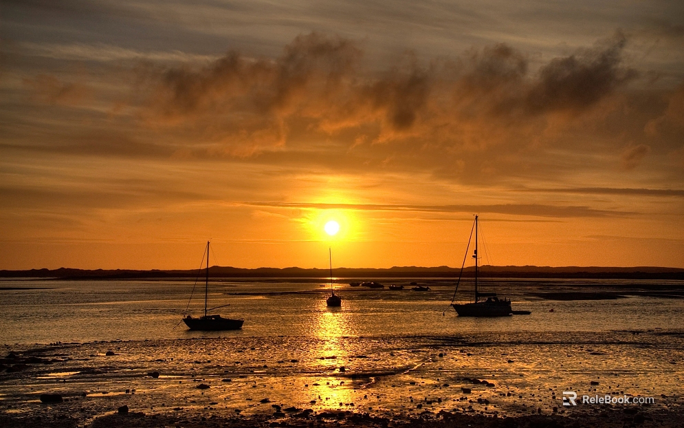 Wild Scenery texture