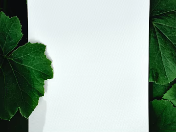 decorative painting texture (ID:ffagg45633)