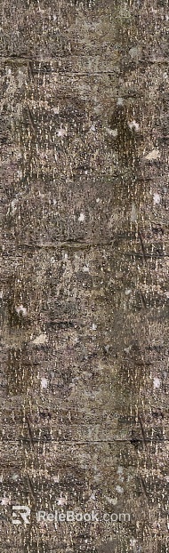 bark texture