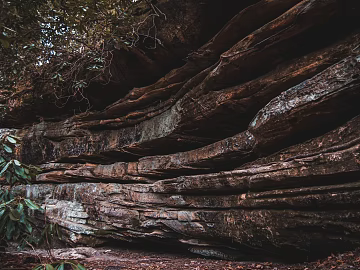 mountain rock wall texture (ID:ffaeg02738)