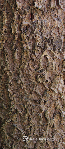 bark texture