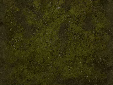 moss texture (ID:ffajg75153)