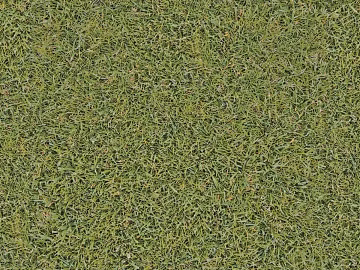 Turf texture (ID:ffach574866)