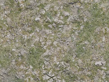 Turf ground texture (ID:ffhee704)