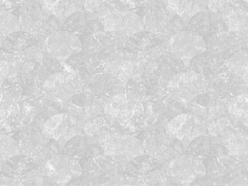 Black and white stone map texture (ID:ffaef3184)