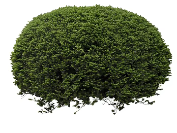 Plants texture (ID:ffaag08175)