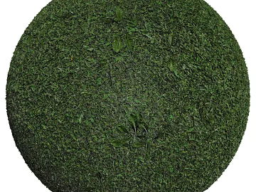 Grassland PBR texture (ID:ffach800281)